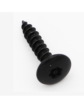 Vis Penture Inviolable 6X30 Filetée sur 30 T30+TET Pointe antifendage type 17 Acier zingué noir