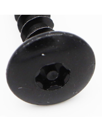 Vis Penture Inviolable 6X30 Filetée sur 30 T30+TET Pointe antifendage type 17 Acier zingué noir