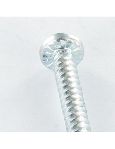 Vis autoperceuse Tête cylindrique bombée TCB Phillips... 2