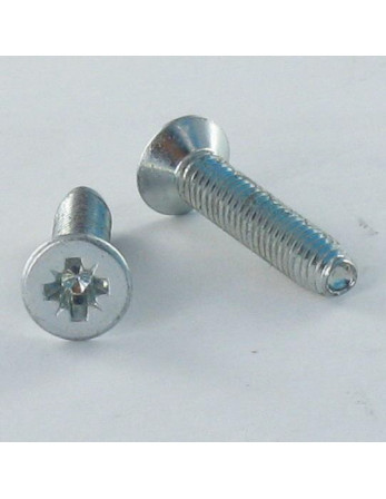 Vis autotaraudeuse Tête fraisée M5X30 Pozi N°2 Acier zingué