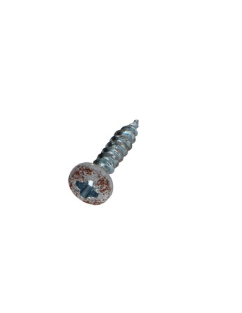 VBA Vis bois agglo Tête ronde TR Pozi N°2 4X20 Acier zingué Rouille