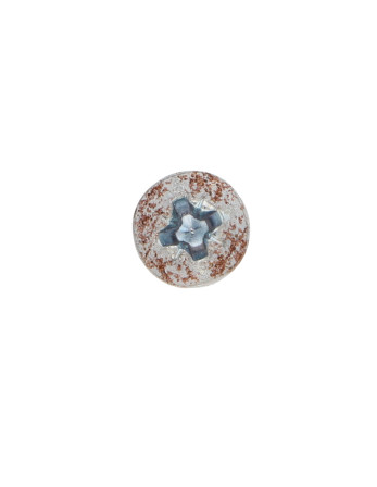 VBA Vis bois agglo Tête ronde TR Pozi N°2 4X20 Acier zingué Rouille