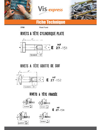Rivet FORES Tête goutte de suif 5X18 Acier zingué