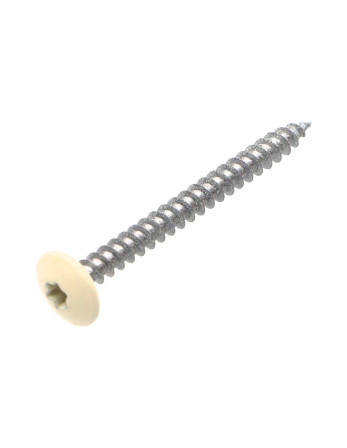 Vis Penture 4.5X50 Filetage total TORX T20 Acier zingué LAQ RAL9010 blanc pur