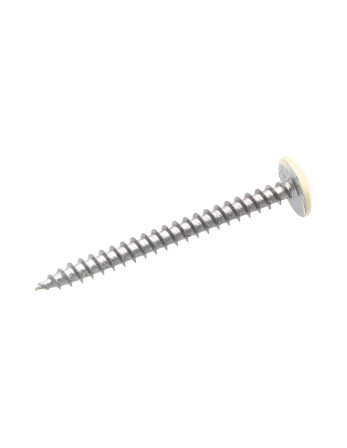 Vis Penture 4.5X50 Filetage total TORX T20 Acier zingué LAQ RAL9010 blanc pur
