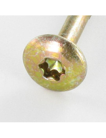 Vis Penture 6X60 Filetée sur 43 TORX T30 Diamètre de tête: 14 Bichromaté