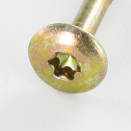 1 x Vis Penture 6X60 Filetée sur 43 TORX T30 Diamètre de tête: 14 Bichromaté
