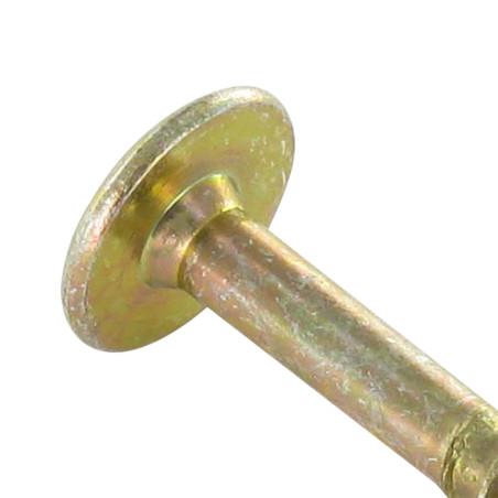 1 x Vis Penture 6X60 Filetée sur 43 TORX T30 Diamètre de tête: 14 Bichromaté