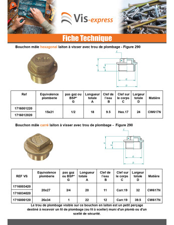 Bouchon mâle Figure 290 12x17 (3/8') Laiton