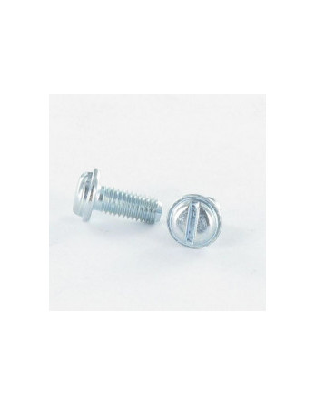 Vis métaux Tête cylindrique TC Fendue M3X6 TORX T10 Acier zingué microvis