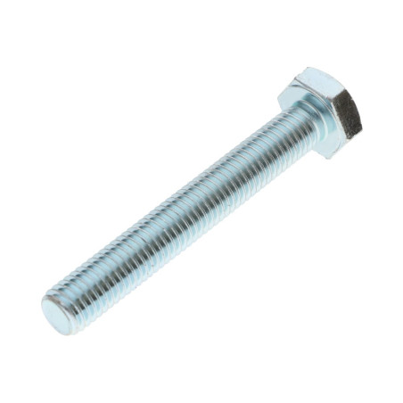 1 x Vis métaux Tête hexagonale TH M10X80 Classe 10.9 Acier zingué