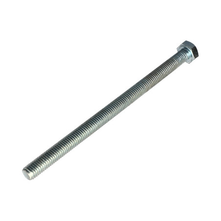 1 x Vis métaux Tête hexagonale TH M10X160 Classe 8.8 Acier zingué
