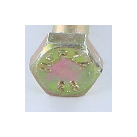 1 x Corps de boulon filetage partiel Tête hexagonale TH M10X50 DIN931 200 Heures brouillard salin sans rouille rouge Z