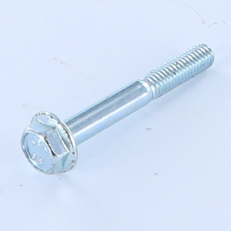 1 x Vis métaux Tête hexagonale TH M6X45 Embase lisse Acier zingué