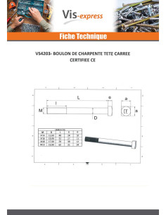 Boulon (vendu avec Ecrou) Charpente M16X400 Tête carrée... 2