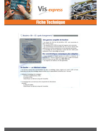Boulon (vendu avec Ecrou) Tête hexagonale TH M20X70 Classe 8.8 SB Acier zingué