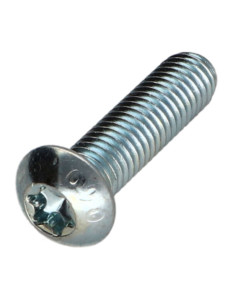 Vis métaux Tête bombée TORX T25 M5X30 Classe 10.9 Acier...