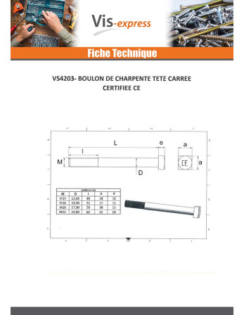 Boulon (vendu avec Ecrou) Charpente M14X225 Tête carrée 24X24X10 Acier zingué