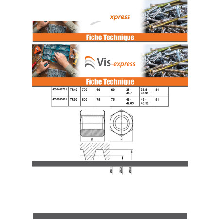1 x Écrou hexagonale SKM Tête ronde TR 28X5 Trapézoidale Droite Acier brut
