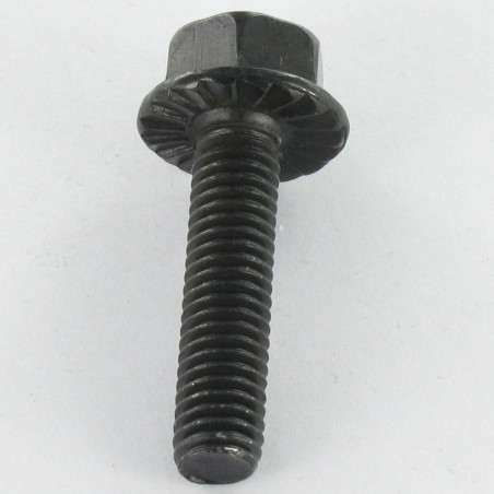 1 x Vis métaux Tête hexagonale TH M6X16 Acier zingué noir Embase collerette crantée