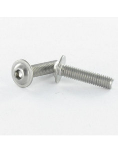 Vis métaux Tête bombée Embase collerette TORX T40 M8X40...