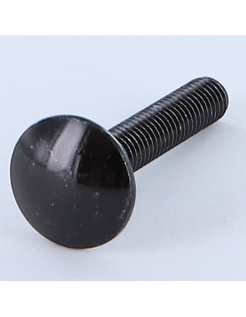 TRCC JAPY tête ronde collet carré M5X30 Filetage total Acier zingué noir