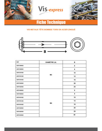 Vis métaux Tête bombée Embase collerette TORX T30 M6X6 Classe 10.9 Acier zingué