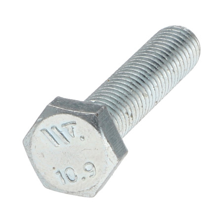 1 x Vis métaux Tête hexagonale TH M6X30 Classe 10.9 Acier zingué