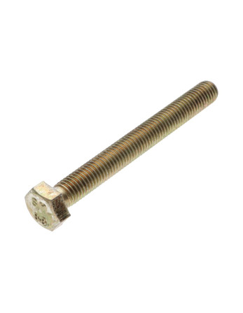 Vis métaux Tête hexagonale TH M6X75 Classe 6.8 Bichromaté