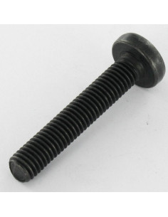 Vis métaux Tête bombée TORX T40 M8X35 Classe 10.9 zingué... 2
