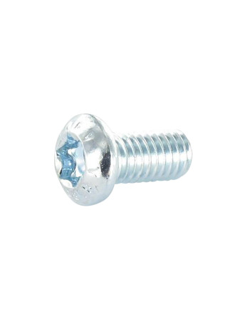 Vis métaux Tête bombée TORX T30 M6X12 Classe 8.8 Acier zingué