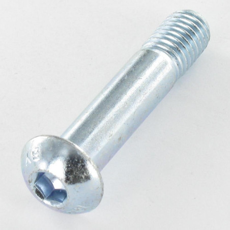1 x Vis métaux BHC (Tête Bombée Hexagonal creux) M10X50 Filetée sur 13 Classe 10.9 Clé de 6 HC6 Acier zingué