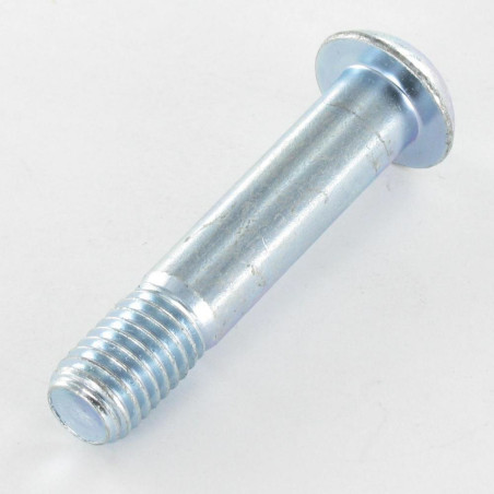 1 x Vis métaux BHC (Tête Bombée Hexagonal creux) M10X50 Filetée sur 13 Classe 10.9 Clé de 6 HC6 Acier zingué
