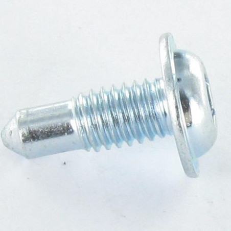 1 x Vis métaux Tête ronde large TORX T30 M6X16 Bout pilote Acier zingué