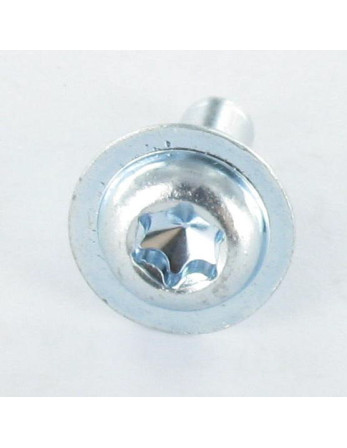 Vis métaux Tête ronde large TORX T30 M6X16 Bout pilote Acier zingué