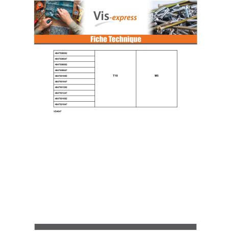 1 x Vis métaux Sans tête TORX T10 Bout cuvette M5X4 Acier zingué