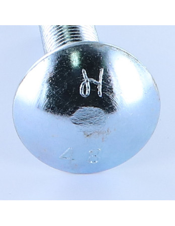 TRCC JAPY tête ronde collet carré M16X60 Filetage total Acier zingué