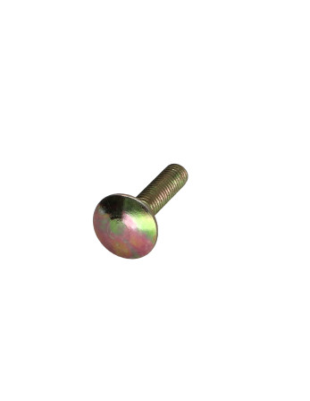TRCC JAPY tête ronde collet carré M5X22 Filetage total COLCAR 6 Bichromaté