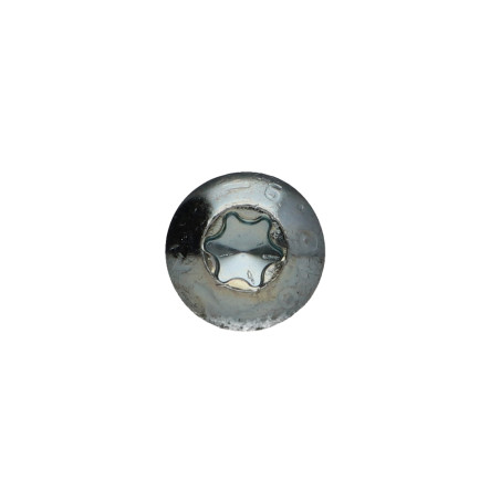 1 x Vis métaux Tête bombée TORX T25 M5X35 Classe 10.9 Acier zingué