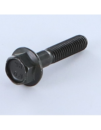 Vis métaux Tête hexagonale TH M6X30 Filetée sur 18 Embase collerette crantée Classe 8.8 Acier zingué noir
