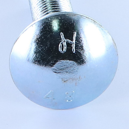 1 x TRCC JAPY tête ronde collet carré M16X50 Filetage total Classe 8.8 Acier zingué