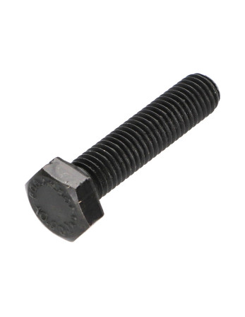 Vis métaux Tête hexagonale TH M10X45 Classe 10.9 Acier brut
