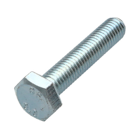 1 x Vis métaux Tête hexagonale TH M10X55 Classe 8.8 Acier zingué