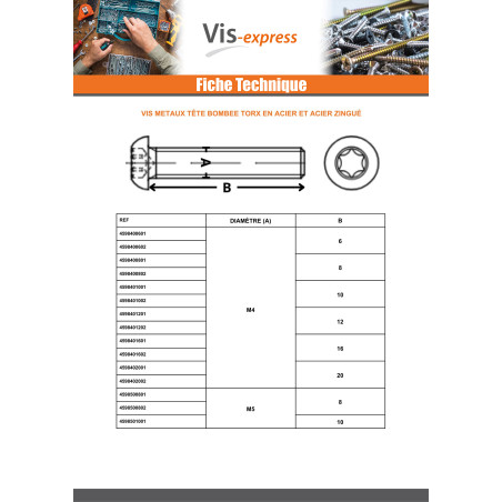 1 x Vis métaux Tête bombée TORX T40 M8X20 Classe 10.9 Acier zingué