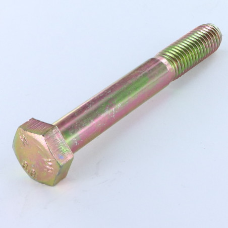 1 x Corps de boulon filetage partiel Tête hexagonale TH M10X100 Classe 8.8 Bichromaté