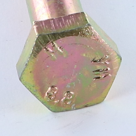1 x Corps de boulon filetage partiel Tête hexagonale TH M10X100 Classe 8.8 Bichromaté