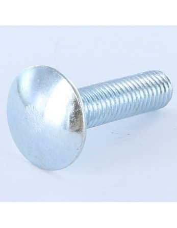 TRCC JAPY tête ronde collet carré M10X20 Filetage total Acier zingué