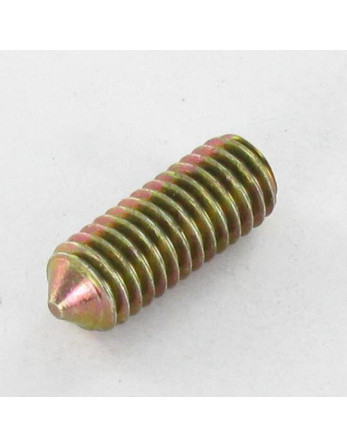 Vis métaux Sans tête six pans creux (sthc) Clé de 3 HC3 M6X25 Bout pointeau Bichromaté
