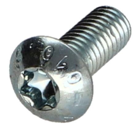 1 x Vis métaux Tête bombée TORX T25 M5X10 Classe 10.9 Acier zingué