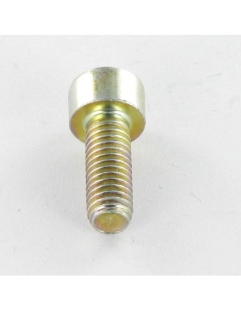 Vis métaux CHC BTR M4X25 Filetage total Classe 8.8 Clé de 3 HC3 Bichromaté